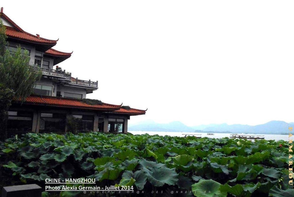 Alexia-Hangzhou 032.JPG